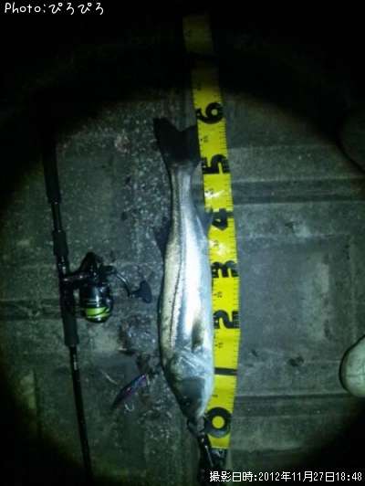 �����Х�