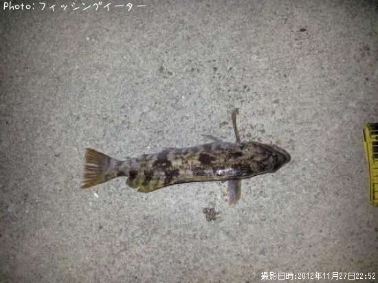 �����ʥ�