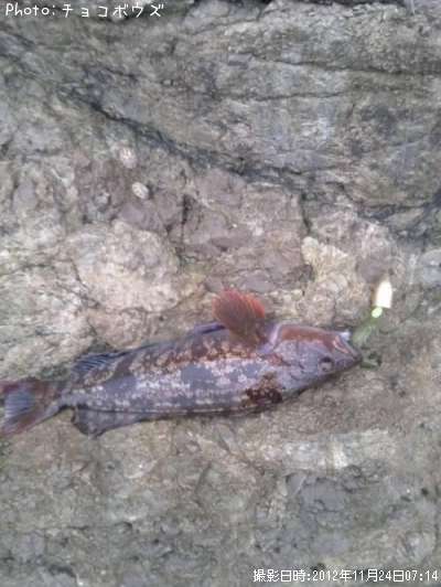 �����ʥ�