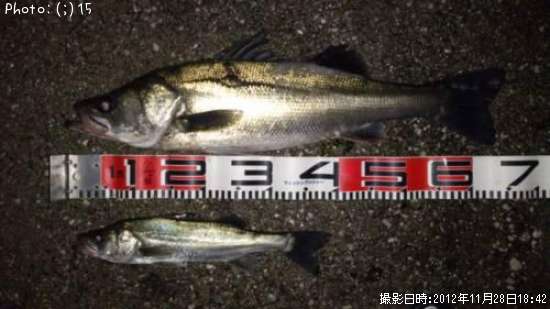 �����Ф�