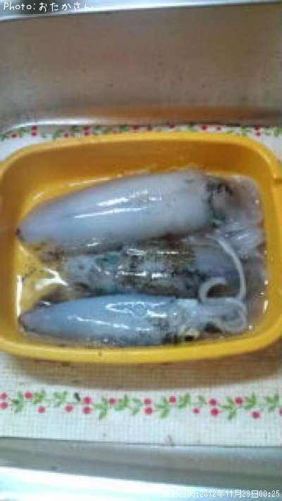 �����ꥤ��