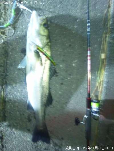 �����Х�