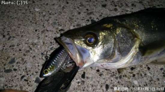 �����Ф�