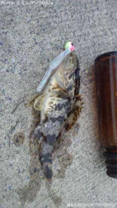 �����Υ���Х�