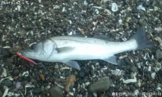 �����Х������ġ�����