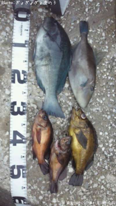 �᥸�ʡ���������ã�ʾС�