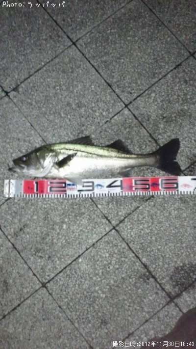 �����Х�