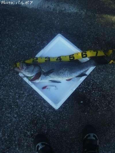 �ҥ饹����