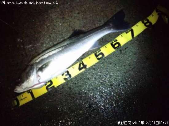 �����Х�