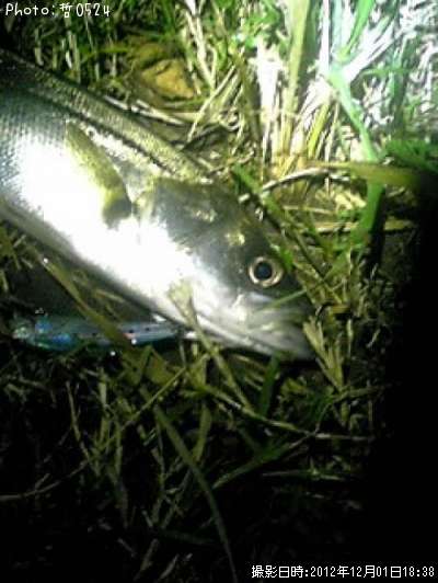 �����Х�