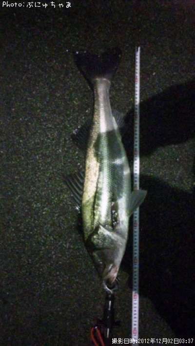 �����Х�