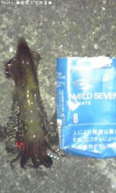 �ߥ�����