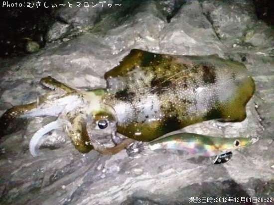 �����ꥤ��