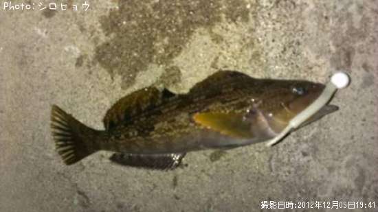 �����ʥᡡ