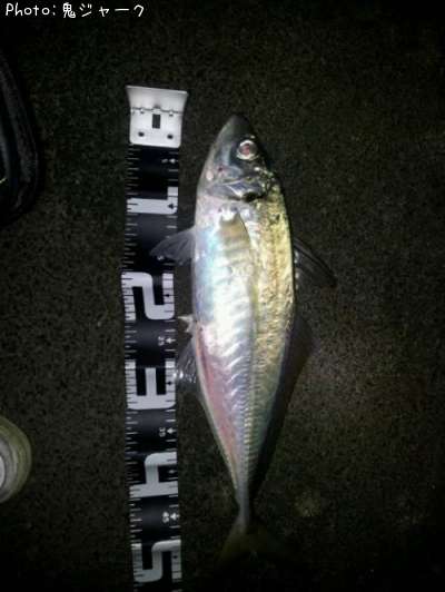 �����ۥ��ҥ饢��