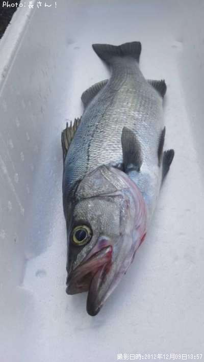 �ҥ饹����