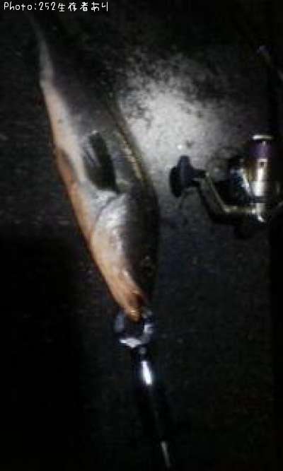 �����Х�