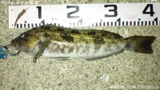 �����ʥ�