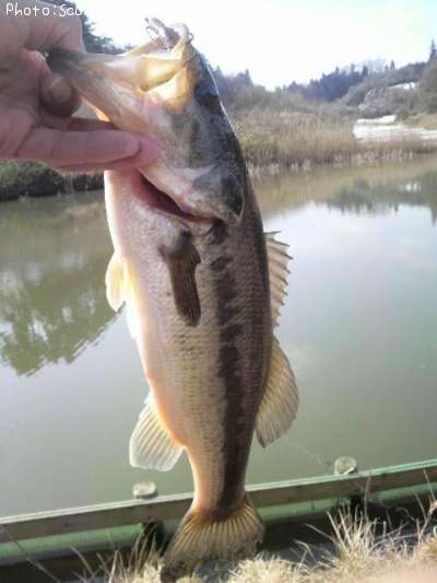 �֥�å��Х�