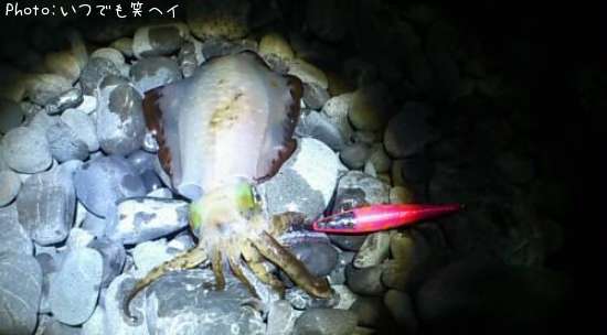 �����ꥤ��