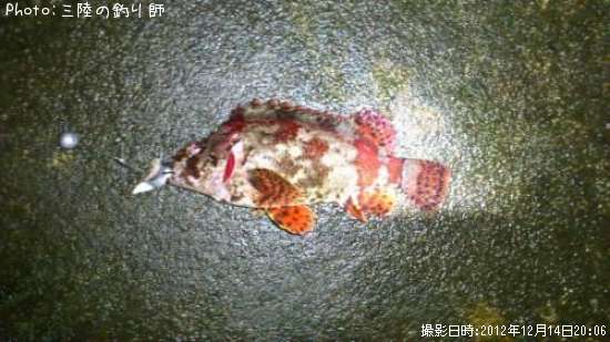 �������Х�