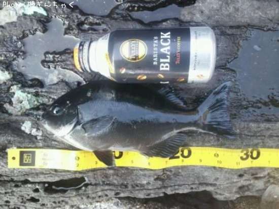 ��Ĺ�᥸��