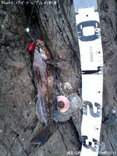 �����ʥ�