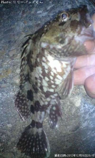 ������������