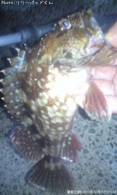 ������������