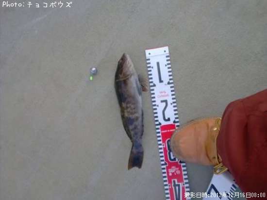 �����ʥ�