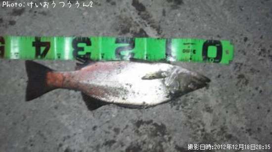 �ҥ饻����