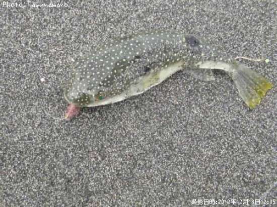 ���祦�����ե�