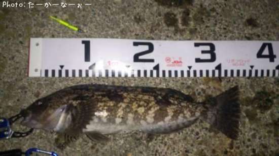 �����ʥ�