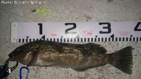 �����ʥ�