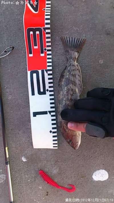 �����ʥ�