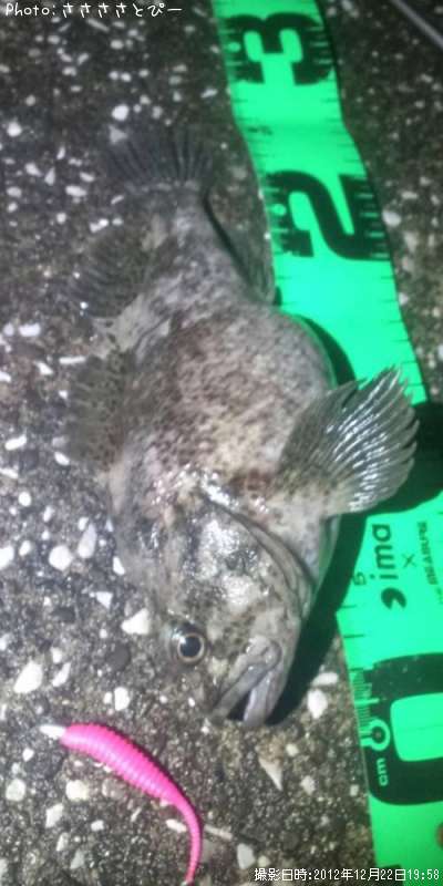 ʢ�ѥ󥽥�����Х�