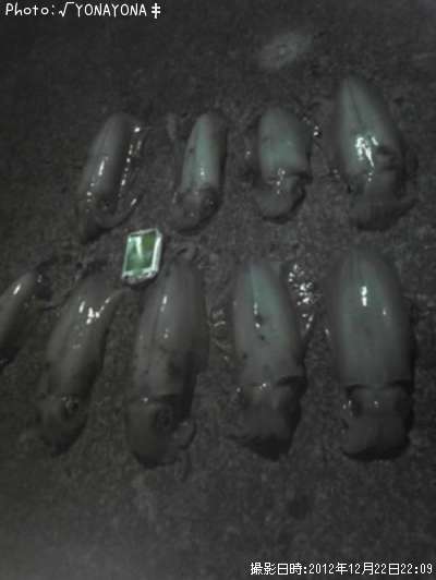 �����ꥤ��