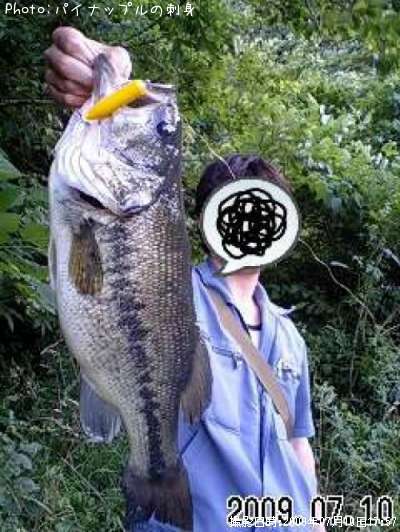 �֥�å��Х�