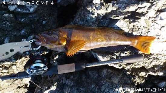 �����ʥ�