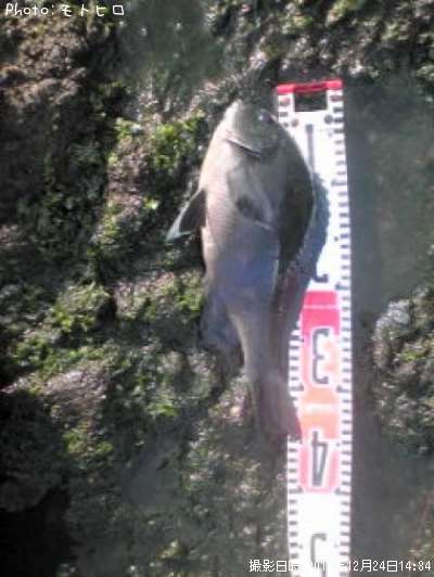 �����᥸��