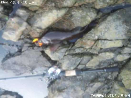 �����ʥ�