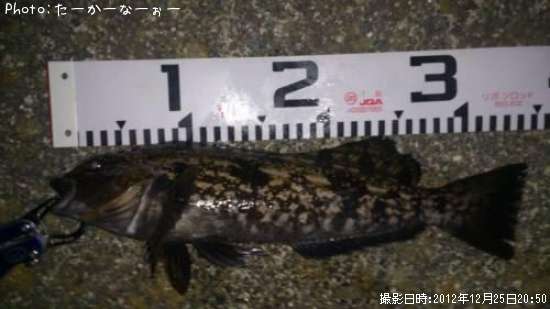 �����ʥ�