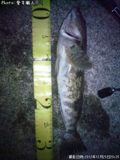 �����ʥ�