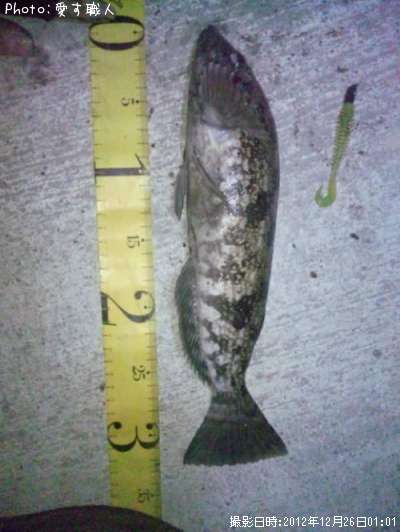 �����ʥ�