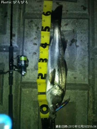 �����Х�