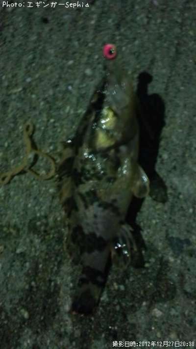 �����Υ���Х�