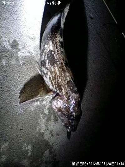 �����ʥ�