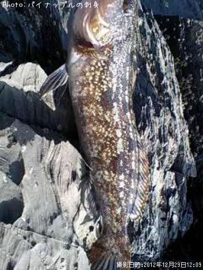 �����ʥ�