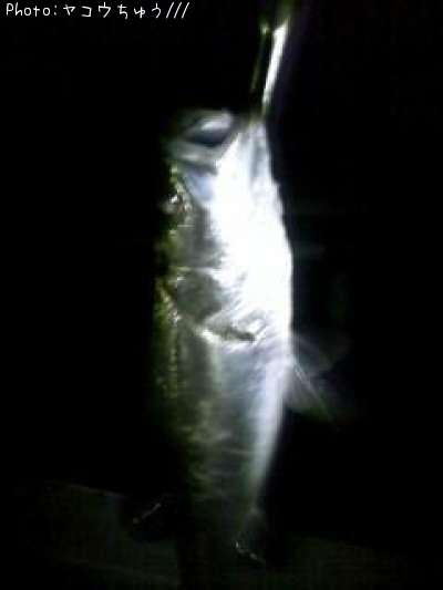 �����Х�