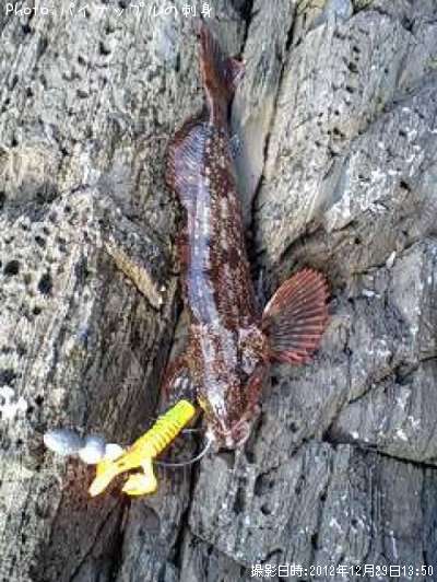 �����ʥ�